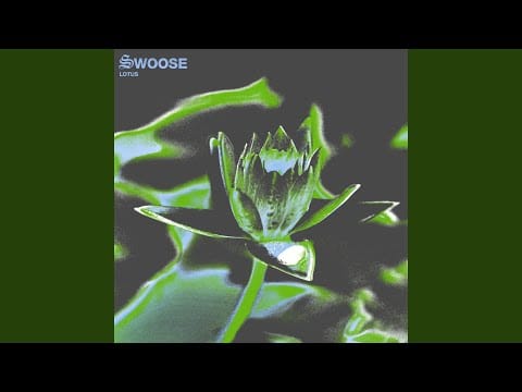 Swoose — Lotus