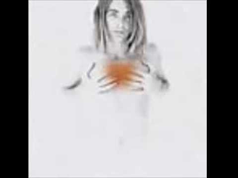 Francis Dunnery — francis dunnery homegrown
