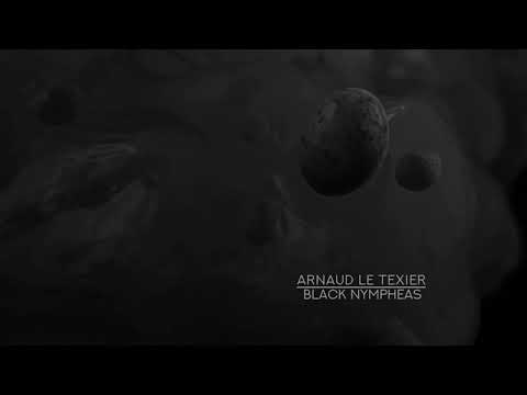Arnaud Le Texier — Arnaud Le Texier  - Black Nympheas - Children Of Tomorrow