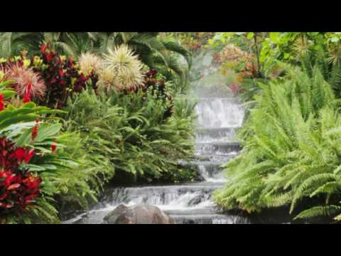 Mantovani — Mantovani  -  Exodus
