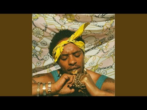 Pink Siifu — ensley
