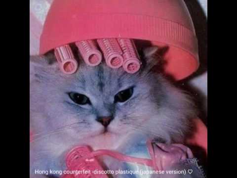 Hong Kong Counterfeit — Hong kong counterfeit -  discotto plastique  (japanese version )
