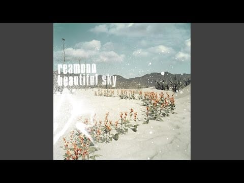 Reamonn — Star (Single Edit)