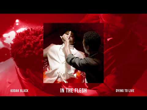 Kodak Black — Kodak Black - In The Flesh [Official Audio]