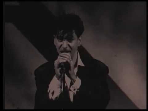 Étienne Daho — Etienne Daho - Duel au soleil (Clip officiel - Live)