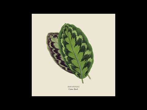 Dam Swindle — Dam Swindle - The Last Time (K-Lone 2-Step Mix)