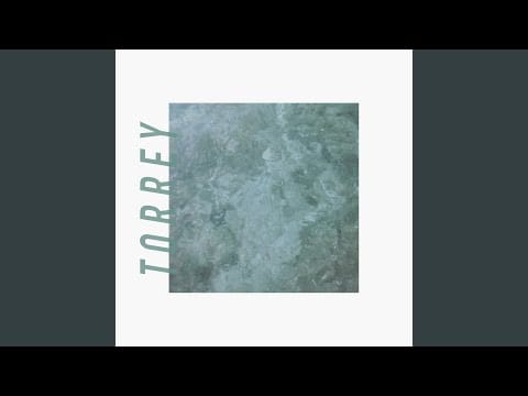 Torrey (2) — Really AM