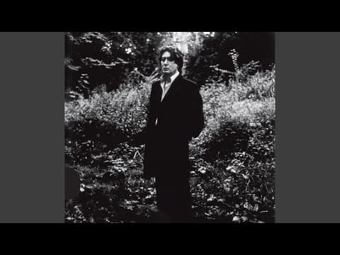 Alain Bashung — Faisons Envie