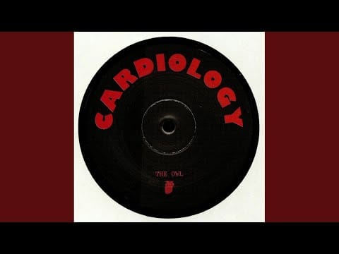 The Owl (4) — Funk Town (Original Mix)
