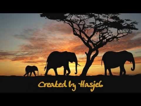 The Jumping Jewels — JUMPING JEWELS Africa