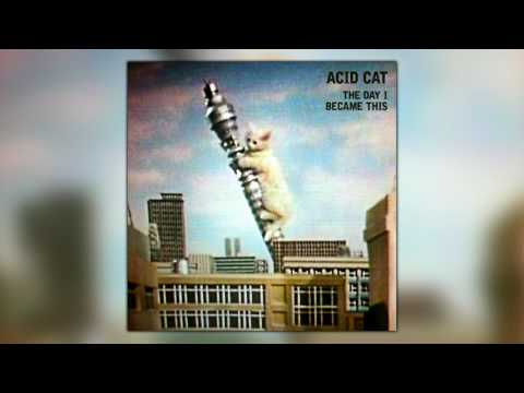 Acid Cat — Acid Cat - A Moog A Day Keeps The Blizzard Away