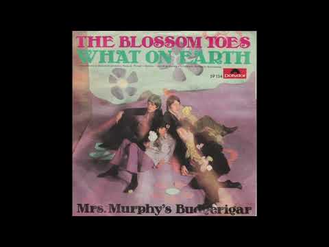 Blossom Toes — The Blossom Toes - What on earth