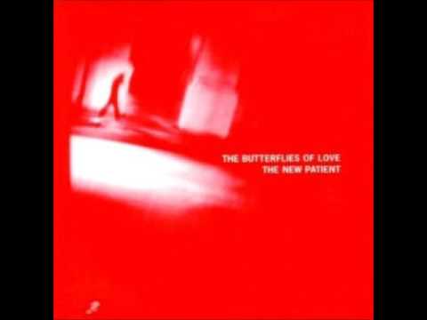 The Butterflies Of Love — Wintertime Queen - Butterflies of Love