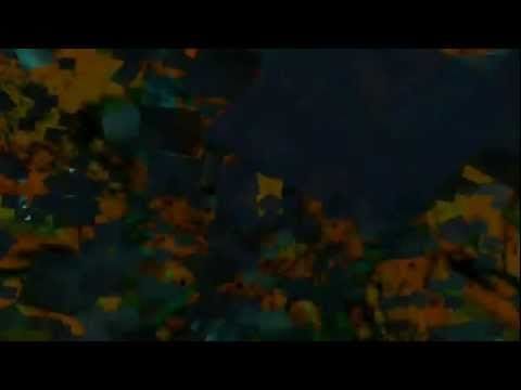 Les Enfants De La Route Violette — LES ENFANTS DE LA ROUTE VIOLETTE - Prisonnier [remix]