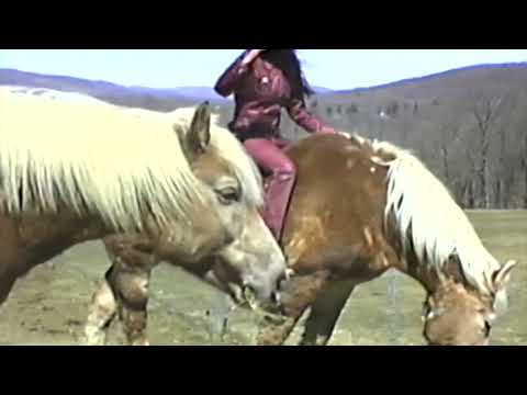 Rahill Jamalifard — Rahill - 'Bended Light' (Official Video)