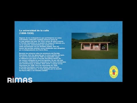 Bad Bunny — BAD BUNNY - KETU TeCRÉ (Visualizer) | DeBÍ TiRAR MáS FOToS