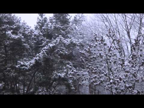 Don Cornell — ♥ "Baby, It's Cold Outside" - Sammy Kaye