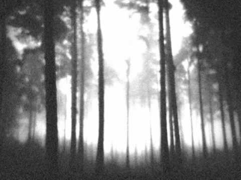 Giorgio Gigli — Milton Bradley "Escaped From The Dark" (ZOOLOFT 2011)