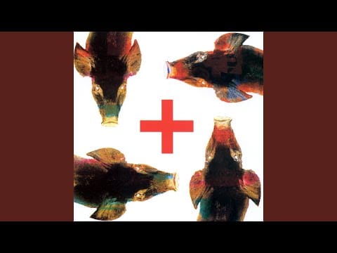 Prozac + — Testa Plastica