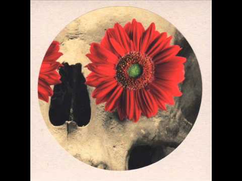 The Owl Service — The Wooden Coat - The Owl Service & Alison O'Donnell