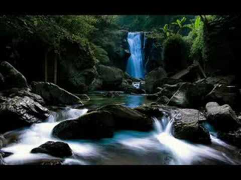 Zoo Brazil — Zoo Brazil - Crysis