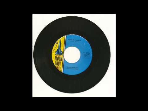 Cliff Nobles — Cliff Nobles - Pony The Horse - Moon Shot 6710