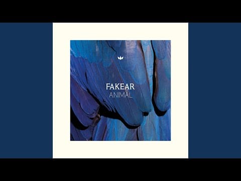 Fakear — Jonnhae