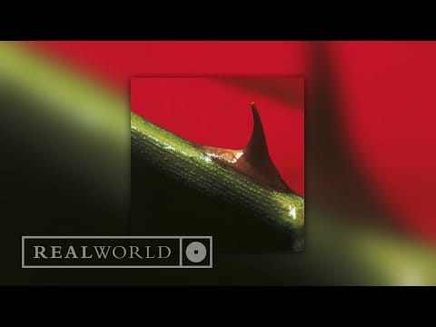 Nusrat Fateh Ali Khan — Nusrat Fateh Ali Khan & Michael Brook - My Heart, My Life (Audio)