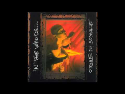 In The Woods... — IN THE WOODS... - Strange In Stereo (Full Album) | 1999 |