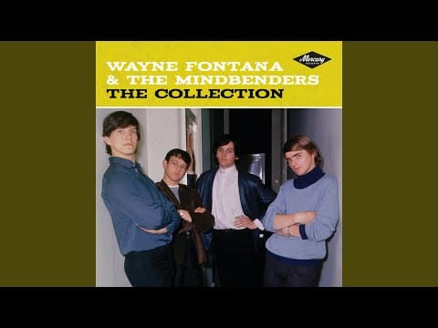 Wayne Fontana & The Mindbenders — She's Got The Power