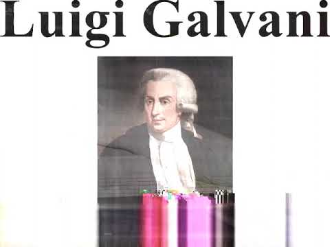 DJ Balli — GALVANIzed by blackout happening just when Galvani is about to twitch frog's leg- Dj Balli Amphibian