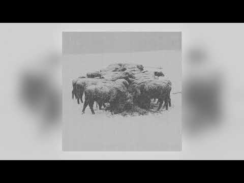 bvdub — bvdub - Not Yours to Give [Audio]