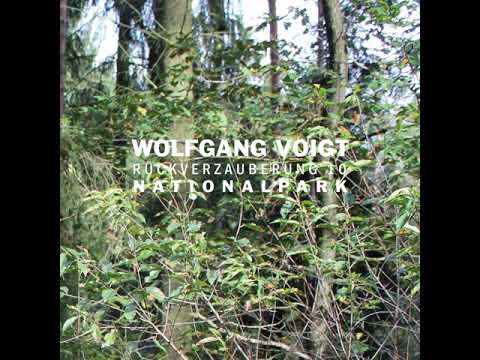 Wolfgang Voigt — Wolfgang Voigt - Rückverzauberung 10 / Nationalpark