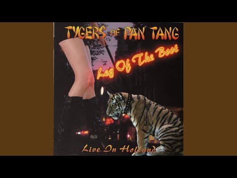 Tygers Of Pan Tang — Rock'n'Roll Man