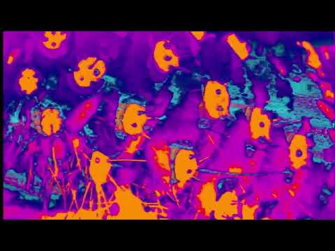 Graeme Revell — La Danse Des Ténèbres = Dance Of Shadows | Graeme Revell