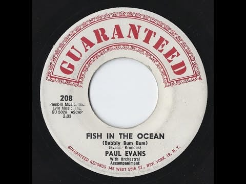 Paul Evans — Paul Evans -    "Fish in the Ocean (Bubbly Bum Bum)"