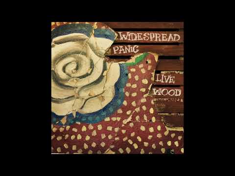 Widespread Panic — Taildragger