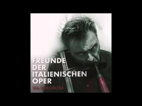 Freunde Der Italienischen Oper — FREUNDE DER ITALIENISCHEN OPER - I robbed your weapons (www.majorlabel.de)