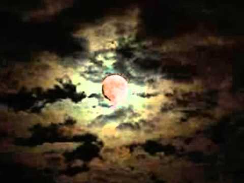 Gerardina Trovato — Gerardina Trovato - La mia Luna