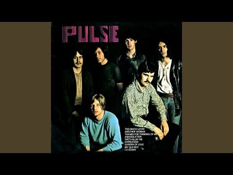 Pulse (20) — Lo-Down