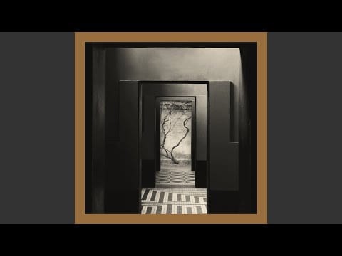 Yair Elazar Glotman — Orchid Sedation