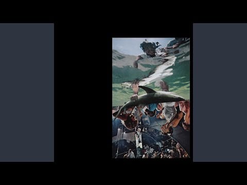 Daniel O'Sullivan — The Swimmer