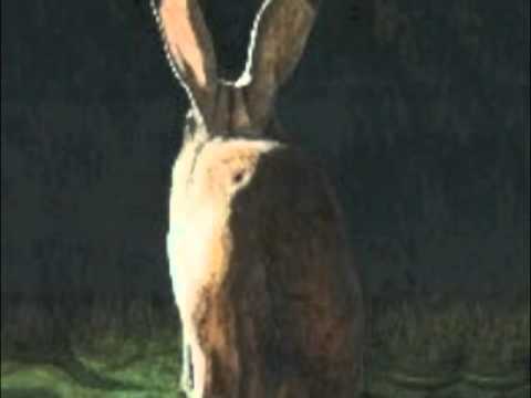 Alexander Tucker — Alexander Tucker - RH