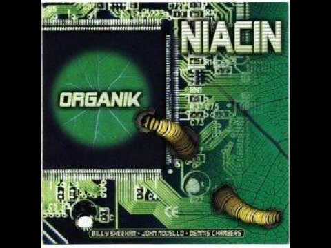 Billy Sheehan — Niacin - Nemesis