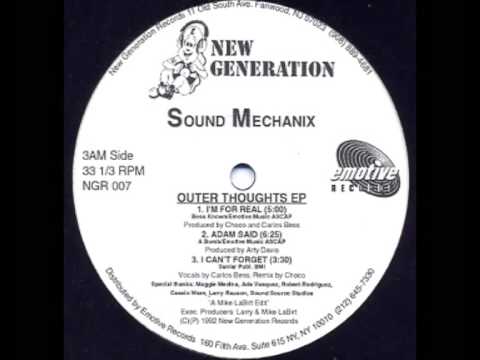 DJ Sprinkles — Sound Mechanix - I Can't Forget