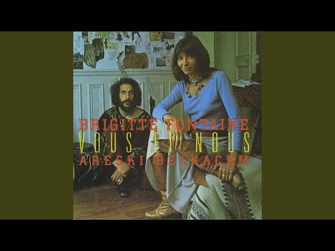 Areski - Brigitte Fontaine — Le serveur du dôme