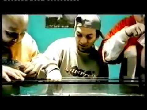 Fresh Familee — FRESH FAMILEE - WIR SIND DA