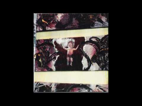 Cheer-Accident — CHEER-ACCIDENT - Flies In The Amber