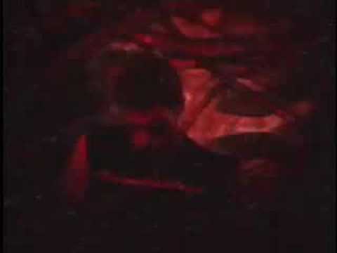 Neurosis — NEUROSIS - "A Sun That Never Sets" (Official Music Video)