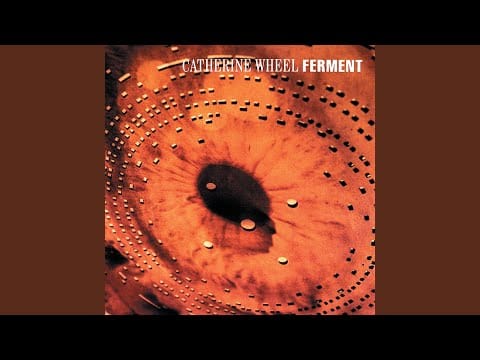 Catherine Wheel — Salt